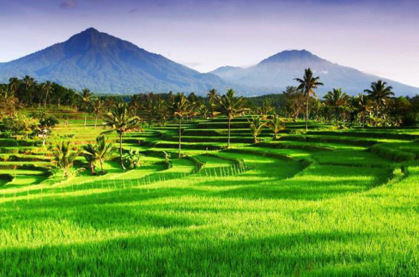 Test Berita 2